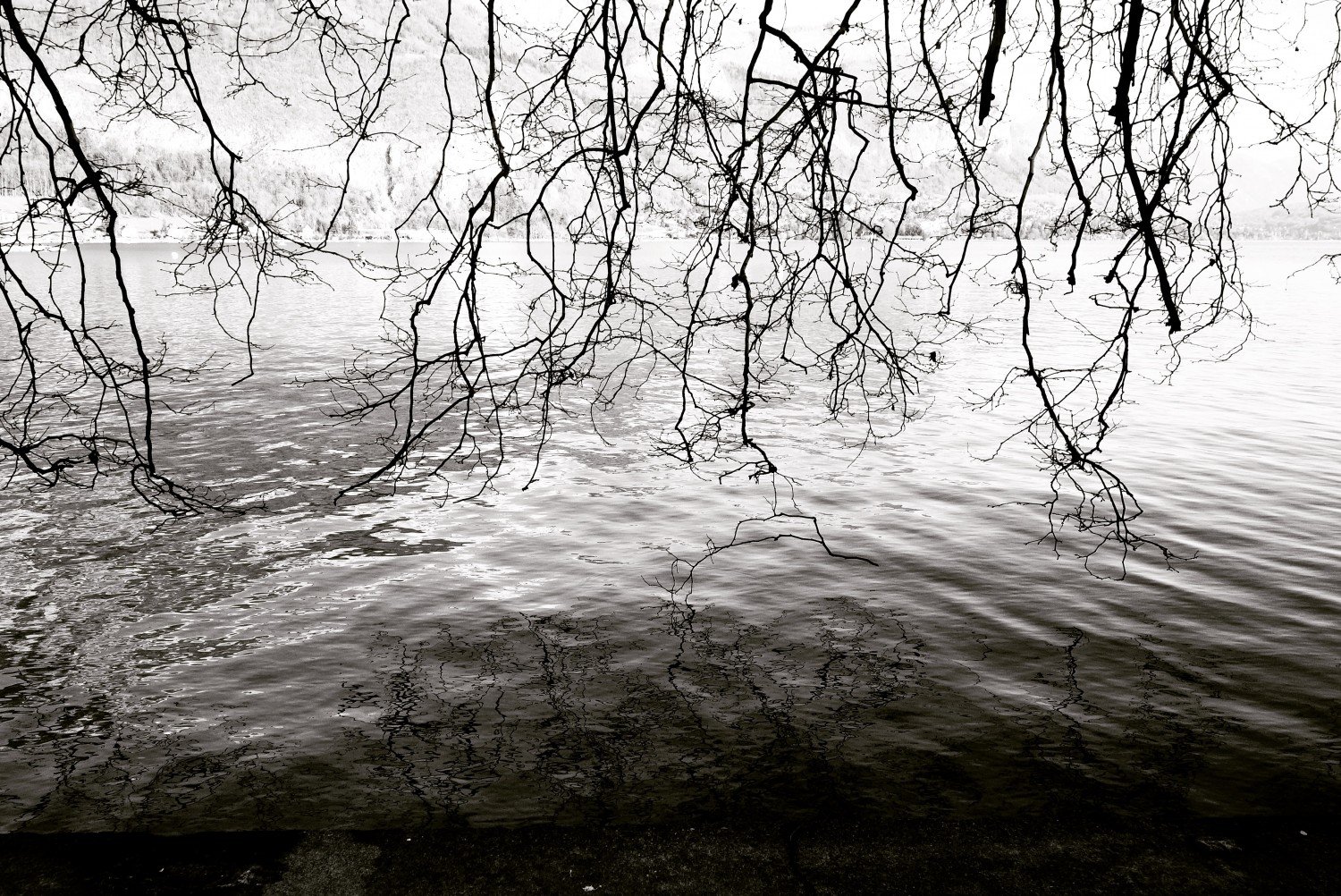 Fichier 23-03-2016 17 02 29